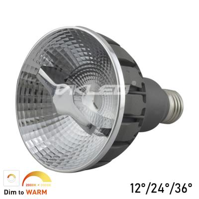 Silicon Control dimming PAR30 Spotlights 2000K 15W THD<20 Samsung